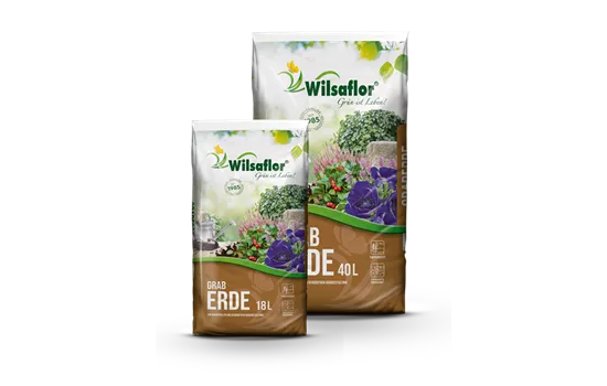 Wilsaflor® Graberde Wilsaflor® Graberde