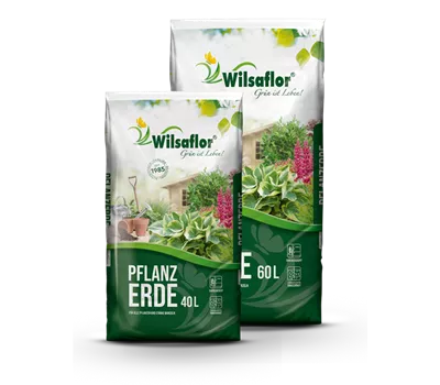 Wilsaflor® Pflanzerde Wilsaflor® Pflanzerde
