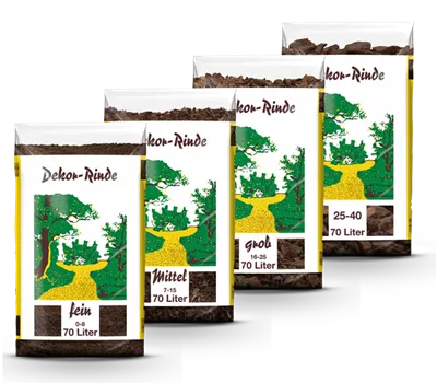 Pinien-Dekorrinde Pinien-Dekorrinde