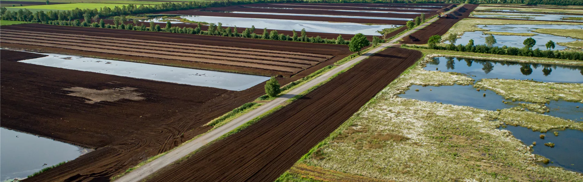 AdobeStock_573297822