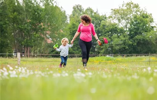 Ein Spielparadies für Kinder im eigenen Garten Ein Spielparadies für Kinder im eigenen Garten