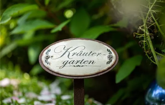 Ernte ohne Garten - Im duftenden Kräutergarten auf dem Balkon Ernte ohne Garten - Im duftenden Kräutergarten auf dem Balkon