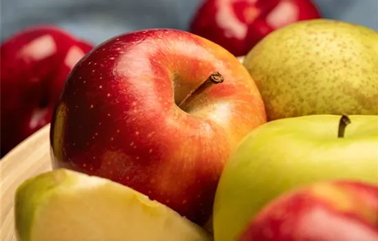 Kern- und Steinobst im eigenen Garten für kleine und große Naschkatzen Kern- und Steinobst im eigenen Garten für kleine und große Naschkatzen