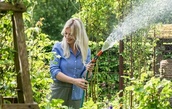 Pflanzenpflege im Sommer für durstige Gartenbewohner Pflanzenpflege im Sommer für durstige Gartenbewohner