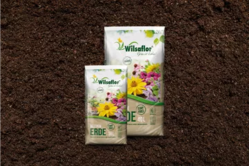 Wilsaflor Sortiment Wilsaflor Sortiment