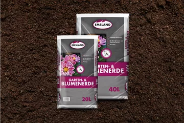 Aktion Sortiment Aktion Sortiment