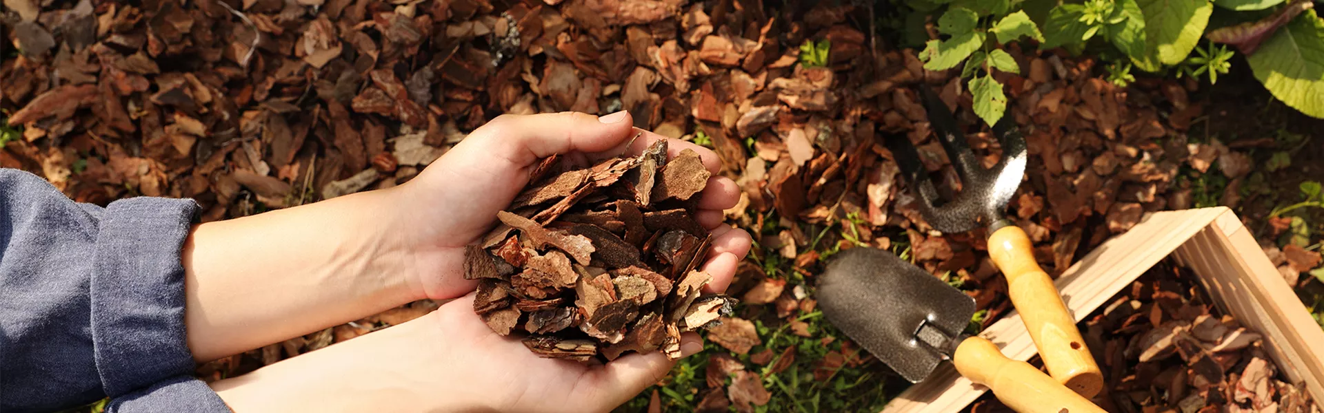 Titelslider_Sortiment_Prime