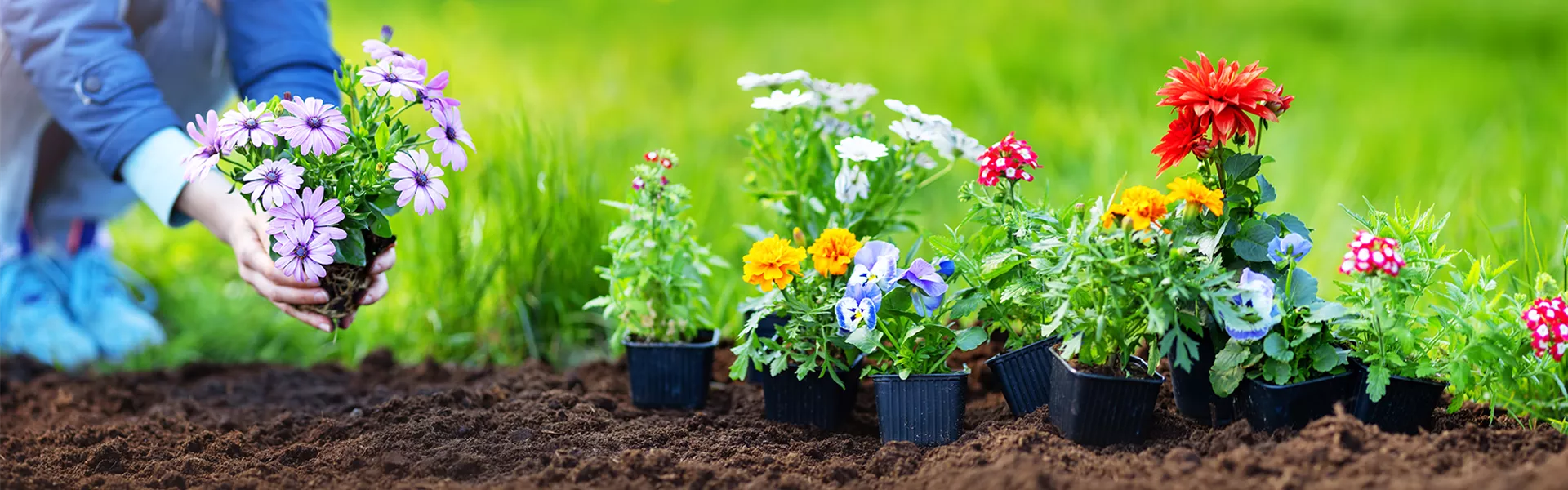 Titelslider_Sortiment_Aktion