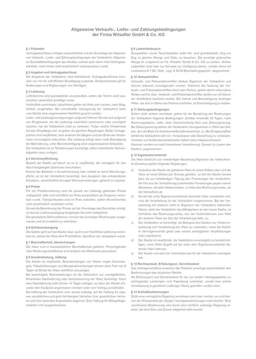 Allgemeine Verkaufs-, Liefer- und Zahlungsbedingungen