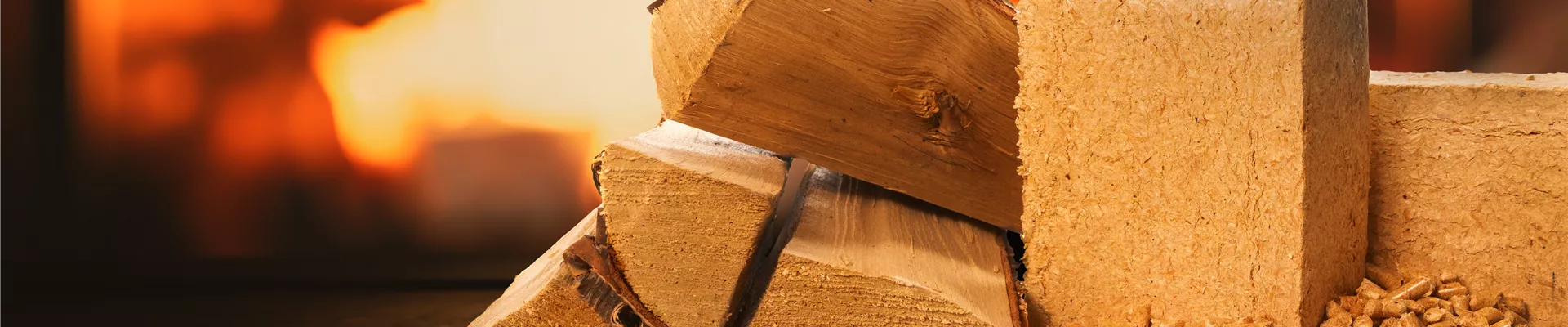 AdobeStock_794887656