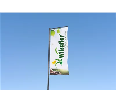 Wilsaflor® Hissfahne