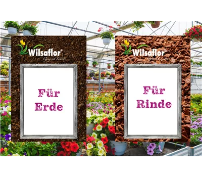 Wilsaflor® Preisschilder